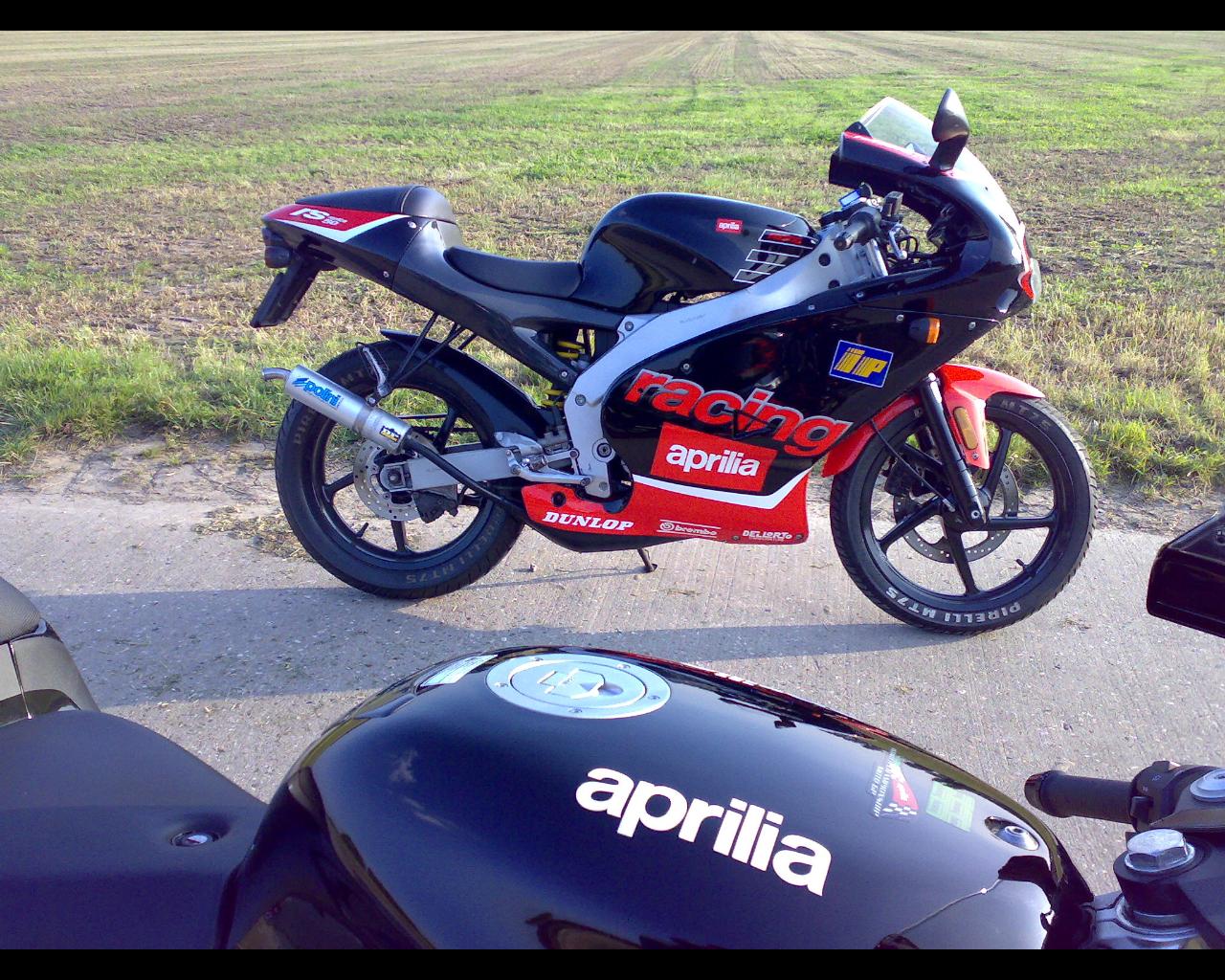 Aprilia Kevin ( Links ) & Aprilia Gertjan ( Rechts ) 3.JPG