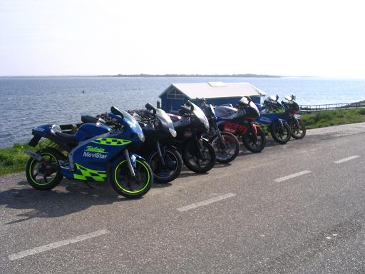 Aprilia RS 50 137.jpg