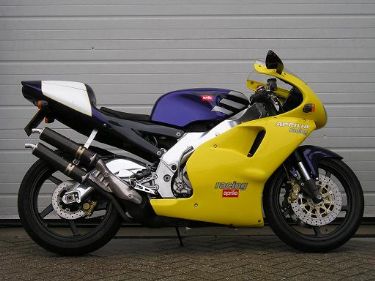 rs250 purple-yellow.jpg