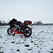 brom sneeuw.jpg