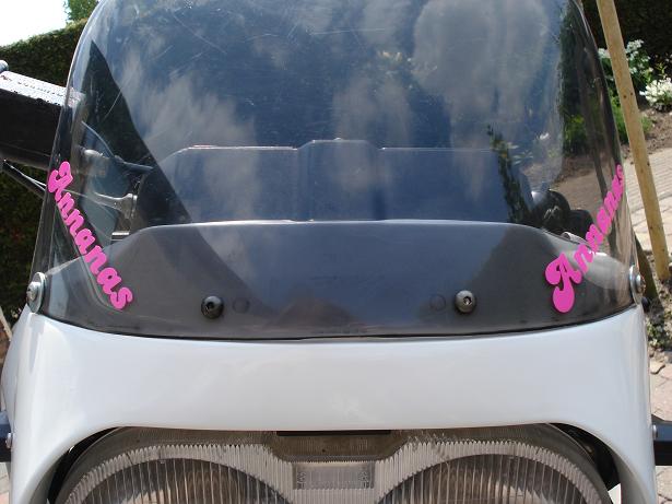 nickname stickers.jpg