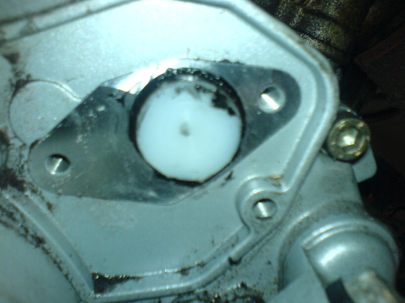DSC01080.JPG
